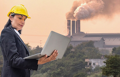 A side view of a plate of figs and berries. 