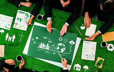 A side view of a plate of figs and berries. 